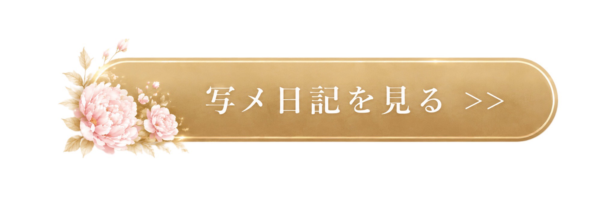 写メ日記